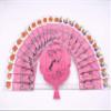 Whoopee Cushion 24pc of Single Packs in Display Box [ 8" Large Size ] for Party Favor Fun Toys by Top Wraps view 2