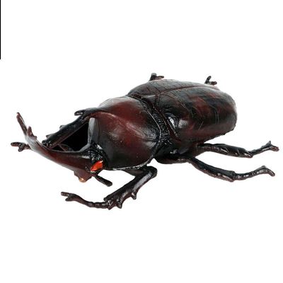 FLORMOON Realistic Animal Figures Japanese Rhinoceros Beetle Figurines Insect Toy, Science Project, Cake Topper, Early Educational Toys Birthday for Toddlers Kids Age 3 4 5(Large Size)