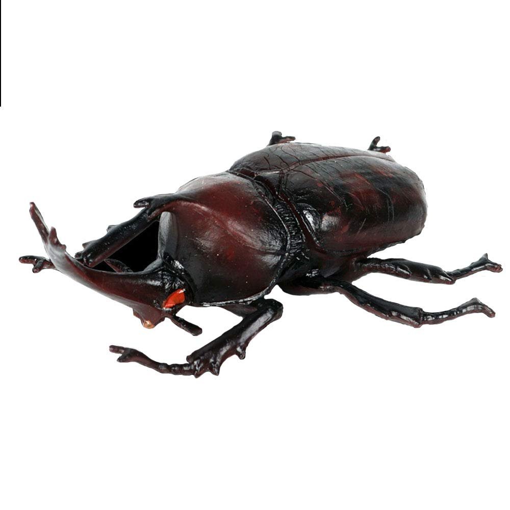 FLORMOON Realistic Animal Figures Japanese Rhinoceros Beetle Figurines Insect Toy, Science Project, Cake Topper, Early Educational Toys Birthday for Toddlers Kids Age 3 4 5(Large Size)