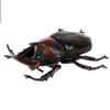 FLORMOON Realistic Animal Figures Japanese Rhinoceros Beetle Figurines Insect Toy, Science Project, Cake Topper, Early Educational Toys Birthday for Toddlers Kids Age 3 4 5(Large Size) view 1
