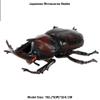 FLORMOON Realistic Animal Figures Japanese Rhinoceros Beetle Figurines Insect Toy, Science Project, Cake Topper, Early Educational Toys Birthday for Toddlers Kids Age 3 4 5(Large Size) view 2
