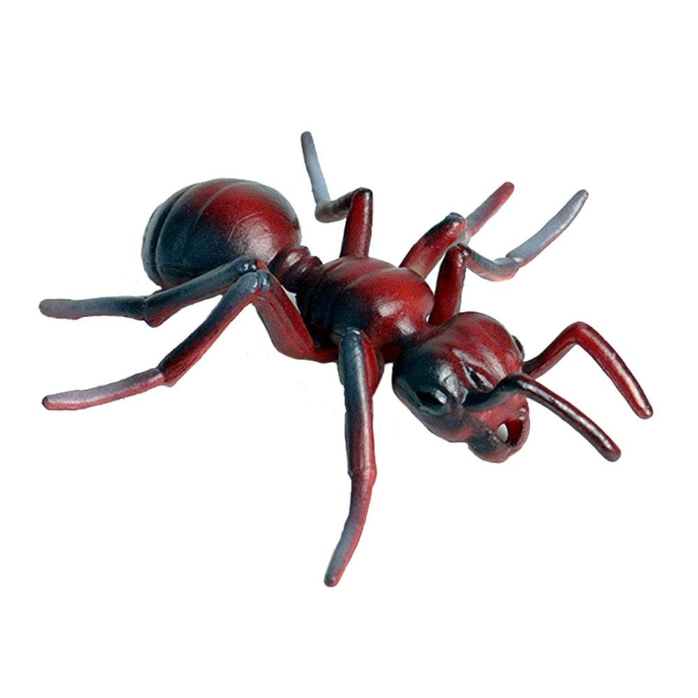 Realistic Animal Figures Red Ant Figurines Insect Toy, Science Project, Cake Topper, Early Educational Toys Birthday for Toddlers Kids Age 3 4 5