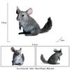 FLORMOON Realistic Animal Figures Chinchilla Lanigera Figurines, Science Project, Cake Topper, Early Educational Toys Birthday for Toddlers Kids Age 3 4 5 view 4