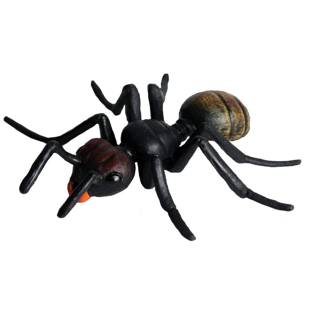 Flormoon Realistic Animal Figures Ant Figurines Insect Toy, Science Project, Cake Topper, Early Educational Toys Birthday for Toddlers Kids Age 3 4 5
