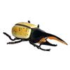 Flormoon Realistic Animal Figures Hercules Beetle Figurines Insect Toy, Science Project, Cake Topper, Early Educational Toys Birthday for Toddlers Kids Age 3 4 5 view 1