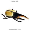 Flormoon Realistic Animal Figures Hercules Beetle Figurines Insect Toy, Science Project, Cake Topper, Early Educational Toys Birthday for Toddlers Kids Age 3 4 5 view 2