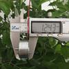 Motors DC 1.5V 3V 5V 6V 8400RPM Micro Mini 300 Solar Power Motor Small Round Toy Motor view 3
