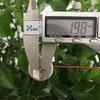 Motors DC 1.5V 3V 5V 6V 8400RPM Micro Mini 300 Solar Power Motor Small Round Toy Motor view 4