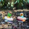 Small Foot 11654 Wooden Pelican, Wind-up Toy for The Water, for Children Aged 24+ Months view 2
