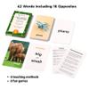 Award-Winning First Words & Opposites Flash Cards for Kids Ages 2-8  36 Durable Cards with Real Pictures  Preschool, Kindergarten & Early Elementary Learning view 3