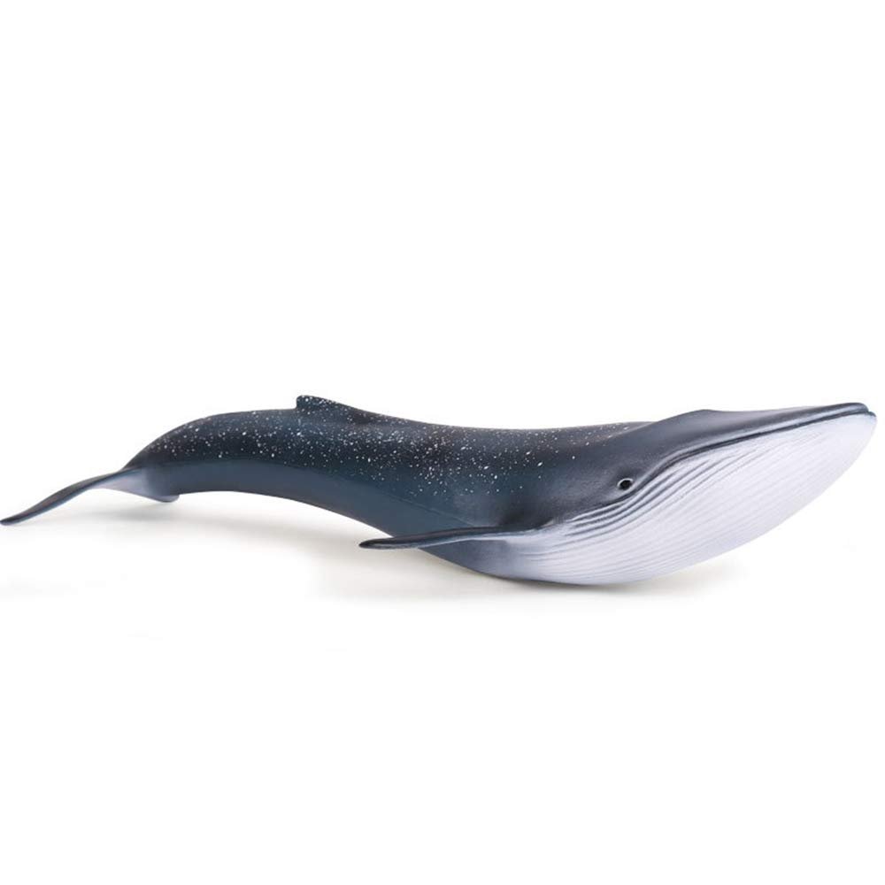 EOIVSH Sea Animal Figure Blue Whale Toy, Plastic Large Ocean Animal Figurine Realistic Educational Marine Model Figurine for Birthday Gifts, Party Favors, Kids Toys