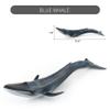 EOIVSH Sea Animal Figure Blue Whale Toy, Plastic Large Ocean Animal Figurine Realistic Educational Marine Model Figurine for Birthday Gifts, Party Favors, Kids Toys view 2