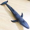 EOIVSH Sea Animal Figure Blue Whale Toy, Plastic Large Ocean Animal Figurine Realistic Educational Marine Model Figurine for Birthday Gifts, Party Favors, Kids Toys view 4