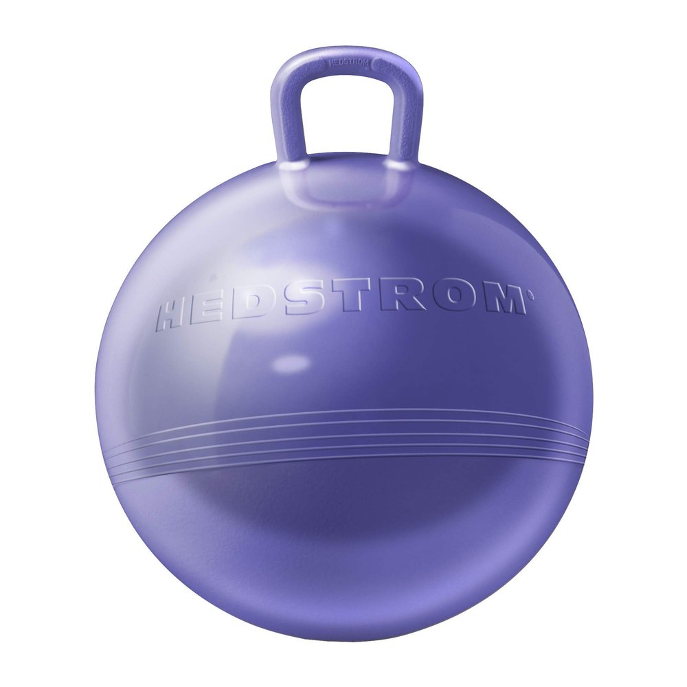 Hedstrom 15" Metallic Purple Fun Hopper