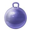Hedstrom 15" Metallic Purple Fun Hopper view 1