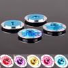 Parts & Accessories 122242 4P 12MM Hex Aluminum Wheel Brake Discs 32MM for RC 1:10 Drift Car - (Color: Blue, CN) view 2