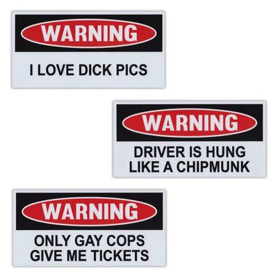 Crazy Novelty Guy Funny Warning Magnets, Practical Joke Magnet Set, 3 Magnets, Removable and Reusable!