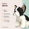 Bearington Collection Oliver The French Bulldog Plush, 13 Inch French Bulldog Stuffed Animal view 2