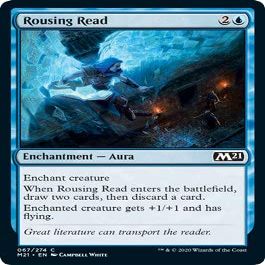 Rousing Read - Foil