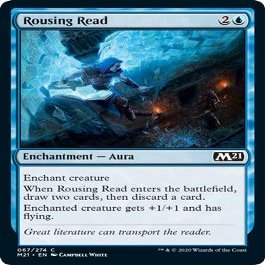 Rousing Read - Foil