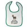 Toddler & Baby Bibs Burp Cloths Funny Young Horse is It Too Soon to Ask for A Pony Question Mark Sign Cotton Baby Items for Baby Girl & Boy White Green Design Only view 1