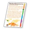 Artgame 3D Dinosaur Fact Cards - Blue view 3