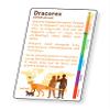 Artgame 3D Dinosaur Fact Cards - Red view 3