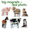 Farm Magnetic Puzzles for Kids  6 Big Magnetic Animals for Baby - Realistic Toddler Magnet for Refrigerator - Travel Games  Real Farm Magnets for Fridge - Learning Toy Set - Baby Educational Gift view 3