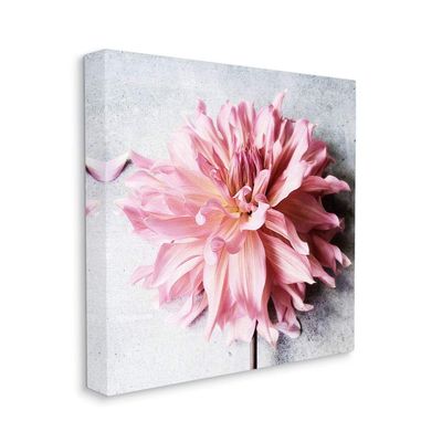 Stupell Industries Pink Spring Floral with Curly Petal Details Canvas Wall Art, 17 x 17, Off- White