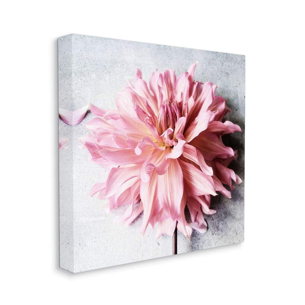 Stupell Industries Pink Spring Floral with Curly Petal Details Canvas Wall Art, 17 x 17, Off- White