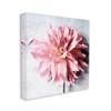 Stupell Industries Pink Spring Floral with Curly Petal Details Canvas Wall Art, 17 x 17, Off- White view 1