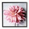 Stupell Industries Pink Spring Floral with Curly Petal Details Wall Art, 12 x 12, Off-White view 1