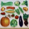 Story Time Felts 36 Piece Fruit, Nuts & Vegetable PRECUT Felt Flannel Board Figures Set view 3