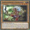 Amazoness Princess - LDS1-EN022 - Common - 1st Edition view 1