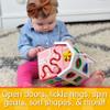 The Learning Journey - Early Learning - Farm Activity Cube - Shape Sorter for Toddlers Ages 12 Months and Up - Award Winning Toys view 4