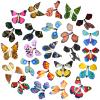 Outee 24 Packs Flying Butterfly Card Surprise Wind Up Butterfly in The Book Rubber Band Powered Fairy Great Xmas Gift Butterfly Teacher Appreciation Gift view 1