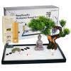 BangBangDa Japanese Zen Garden Kit for Desk - Meditation Rock Sand Garden for Birthday Gift Office Home Desktop Relaxation Decor Bamboo Rakes Bonsai Tree Pagoda Accessories Tools Kits view 1