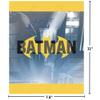 Batman Multicolor Loot Bags (Pack of 8) - Ultimate Superhero Accessory for Birthdays & Celebrations view 2