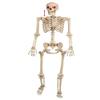 Crazy Bonez Talking Pose-N-Stay Skeleton view 1