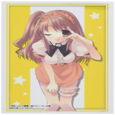 Bushiroad Sleeve Collection High-Grade Vol. 2572 Kadokawa Sneakers Bunko Haruhi Suzumiya Part 2