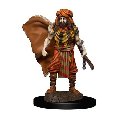 Male Human Druid Icons of the Realms Premium Painted Fantasy Miniature 93031
