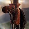 Hobby Horse for Kids A4 Chestnut Hobby Horse on Stick view 4