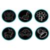Pancake Pals for Kids - Set of 6 Pancake Art Templates Children + Bonus Interactive Cookbook w/QR Codes to Access Free Virtual Follow-Along Cooking Classes (Pancake Pals) view 1