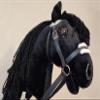 Black Friesian Hobby Horse on a Stick with Bridle for Children 4-10 Years view 3