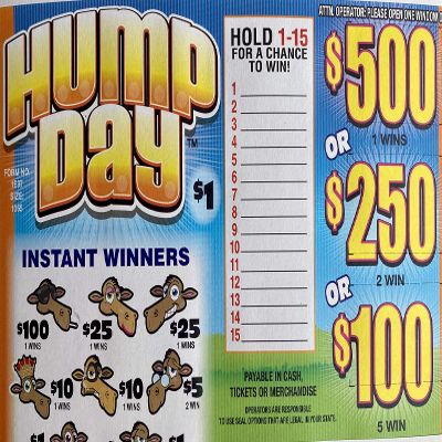 Hump Day $500 Bingo Pull Tabs Game, Seal Card