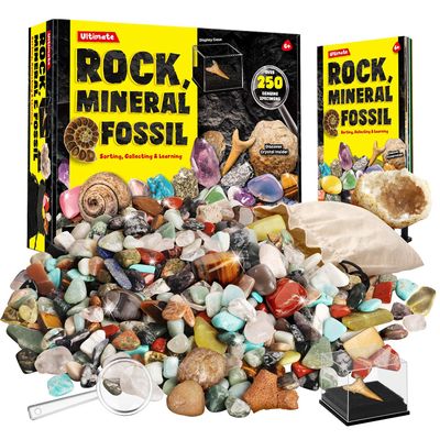 Rocks Minerals & Fossils Collection for Kids 250+ Real Gemstones and Crystals Rock Identification Kit Includes Display Case, Genuine Fossils, Geodes Great Geology, Science Gift for Boys & Girls