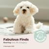 Bearington Dog Stuffed Animal - Bisquit Puppy Realistic Stuffed Animals - Plush Dog Toys for Kids Poodle Labradoodle Plushies -13.5 Inch view 3