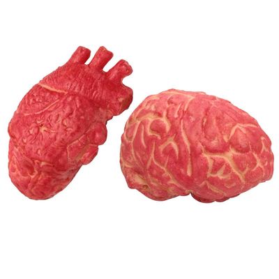 2pcs Fake Heart Brain Mold Scary Realistic Body Organ Parts Halloween Horror Props Haunted House Party Decor