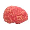 2pcs Fake Heart Brain Mold Scary Realistic Body Organ Parts Halloween Horror Props Haunted House Party Decor view 3