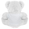 Add Your Valentine Name Custom Bear: 10 Inch Teddy Bear Stuffed Animal view 2